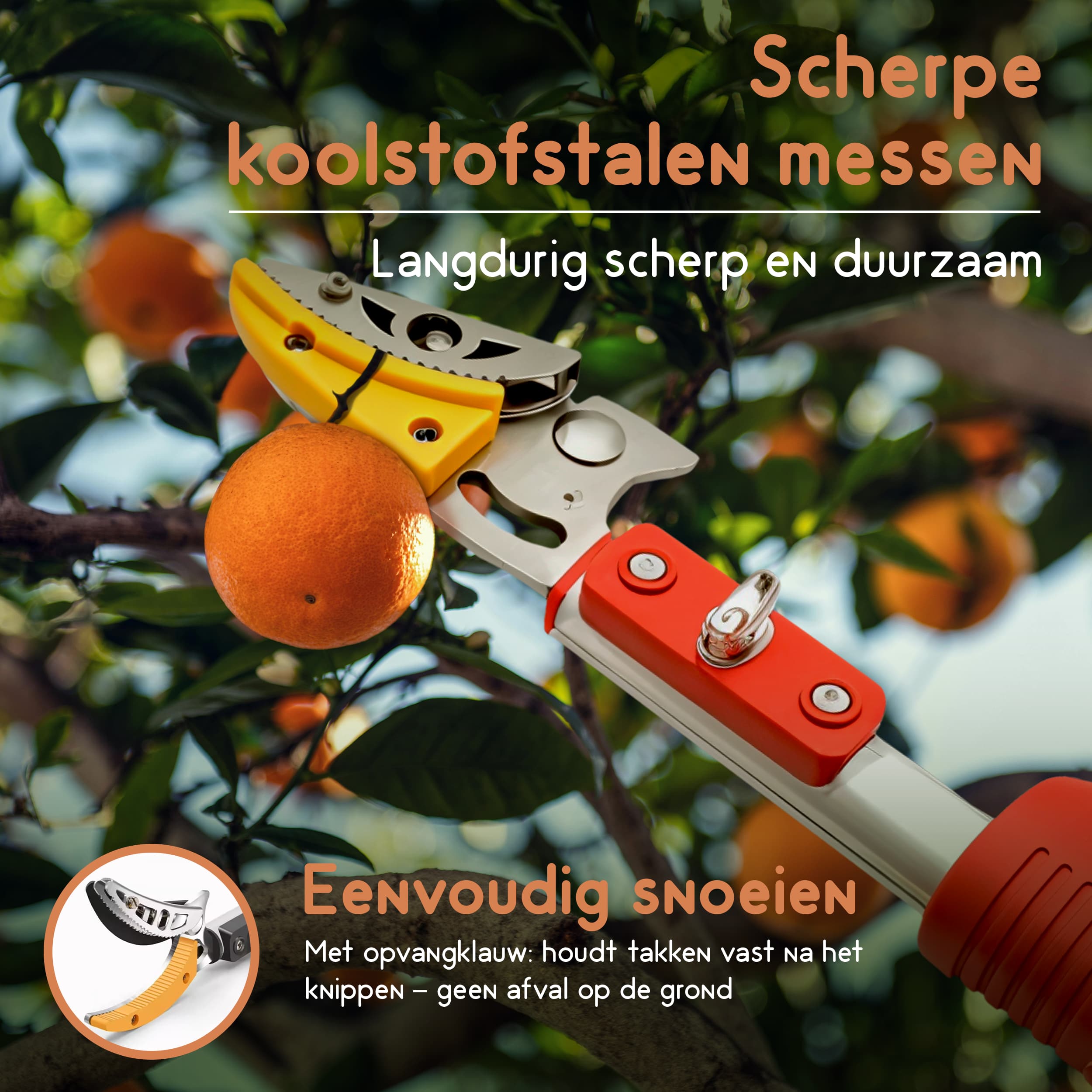 Eenvoudig snoeien met de Recalma telescopische takkenschaar