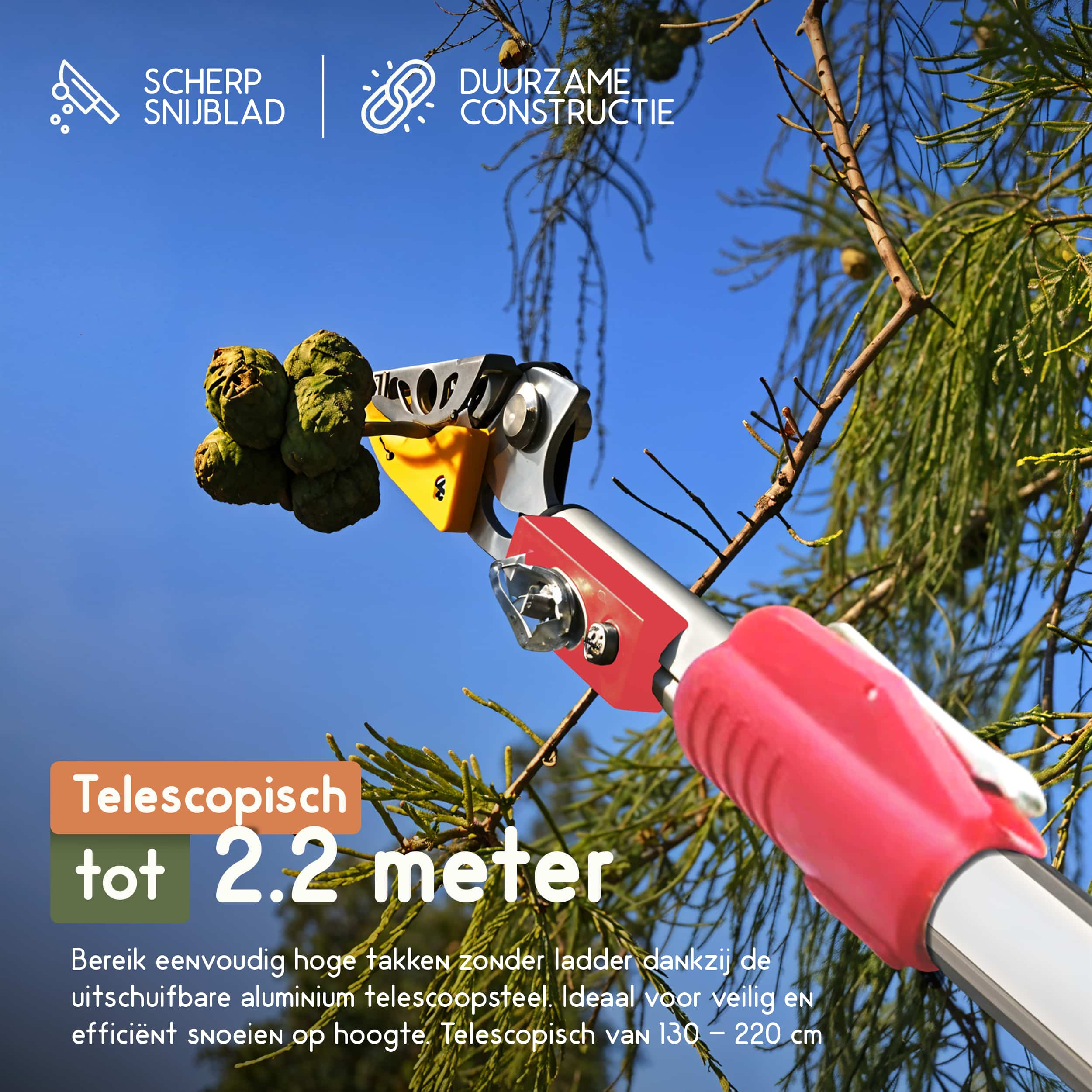 Telescopische takkenschaar tot 2.2 meter