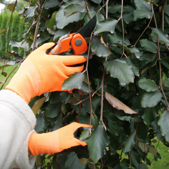 Recalma tuinhandschoenen - Sterke werkhandschoenen voor Tuinwerk