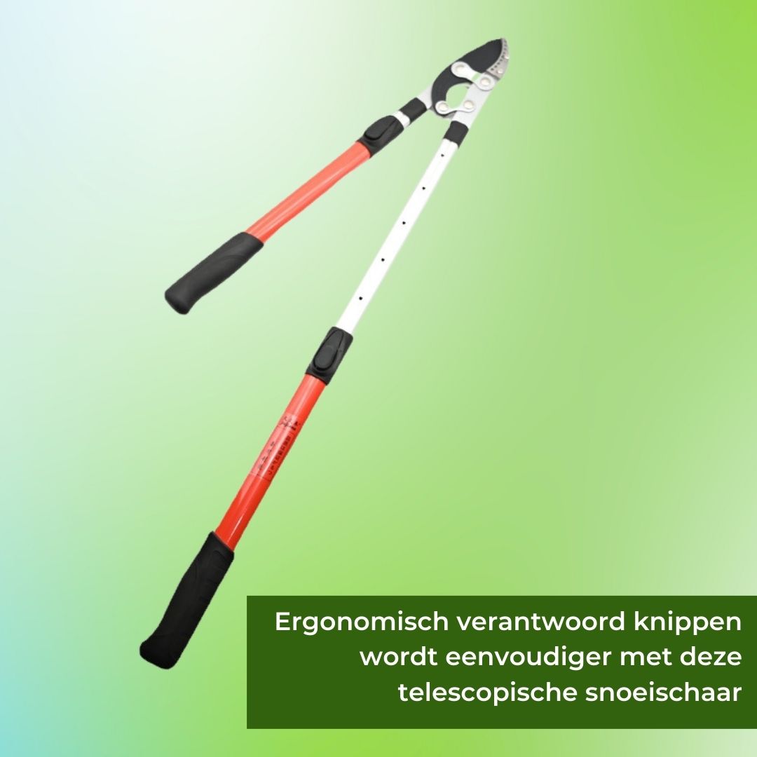 Recalma Telescopische Takkenschaar